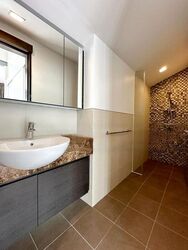 Radiance @ Bukit Timah (D21), Terrace #507439531